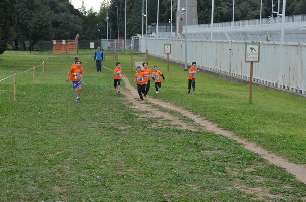 Trofeo Arancini Podistica Solidarietà  (29/10/2017) 00056