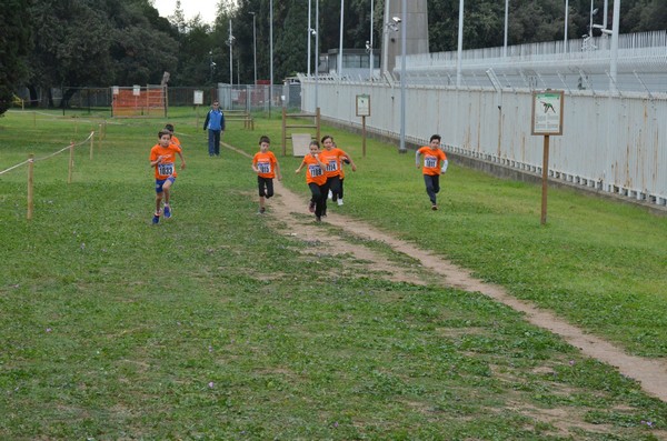 Trofeo Arancini Podistica Solidarietà  (29/10/2017) 00057