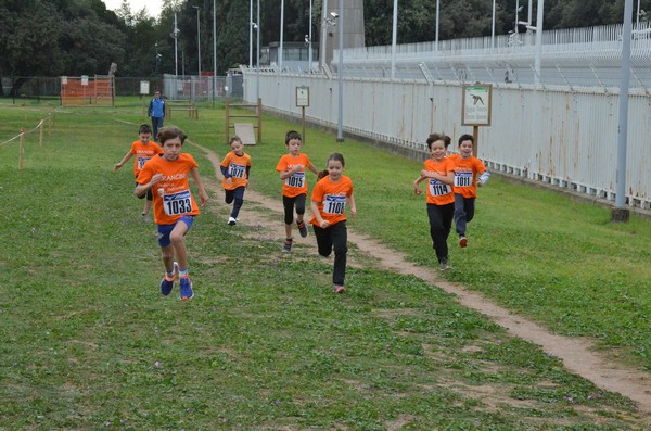 Trofeo Arancini Podistica Solidarietà  (29/10/2017) 00060