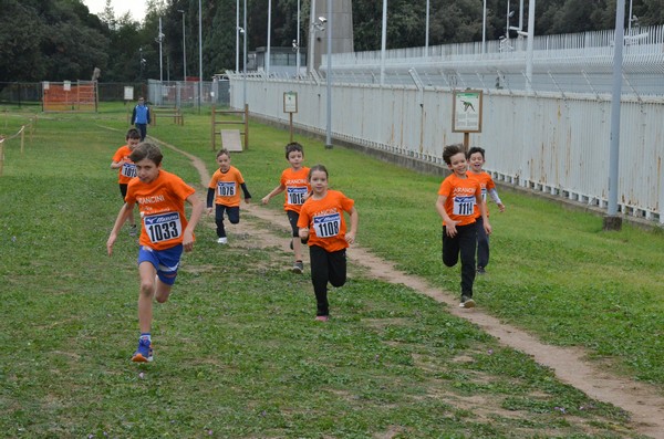 Trofeo Arancini Podistica Solidarietà  (29/10/2017) 00061