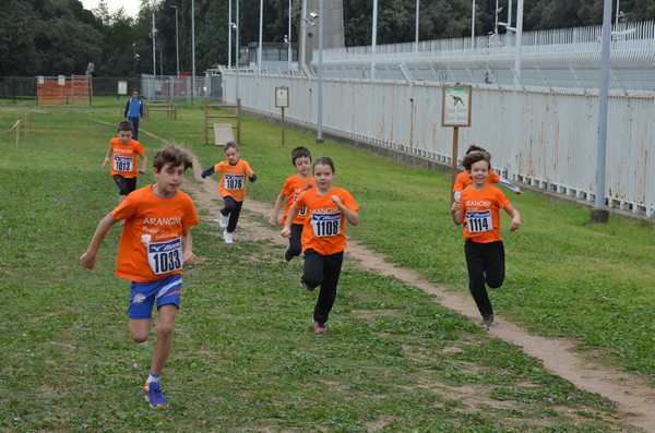 Trofeo Arancini Podistica Solidarietà  (29/10/2017) 00062