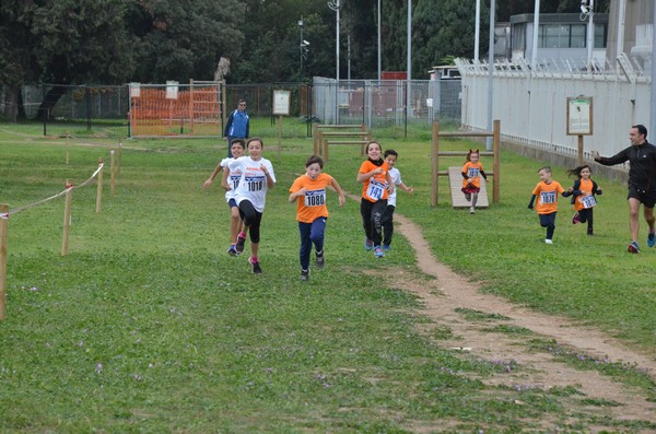 Trofeo Arancini Podistica Solidarietà  (29/10/2017) 00077