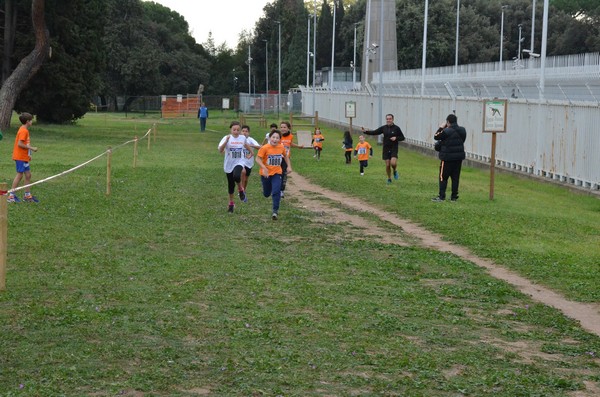 Trofeo Arancini Podistica Solidarietà  (29/10/2017) 00079