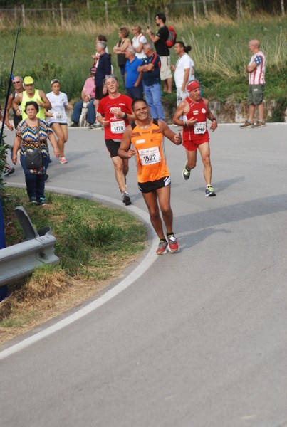 Amatrice Configno  [TOP] [CE] (20/08/2017) 00041