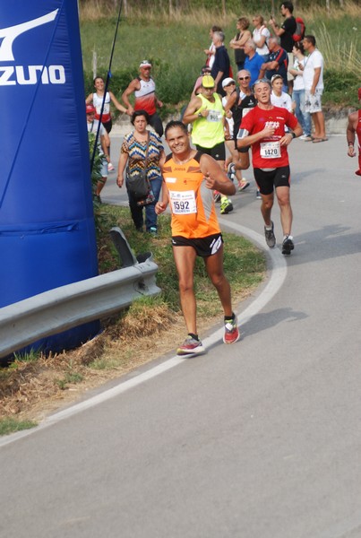 Amatrice Configno  [TOP] [CE] (20/08/2017) 00042