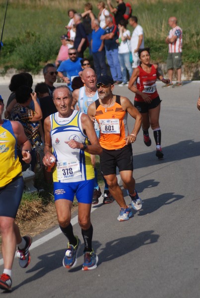 Amatrice Configno  [TOP] [CE] (20/08/2017) 00048