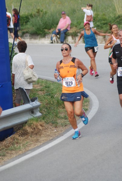 Amatrice Configno  [TOP] [CE] (20/08/2017) 00074
