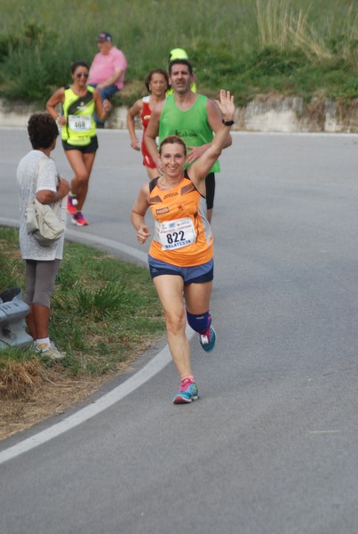 Amatrice Configno  [TOP] [CE] (20/08/2017) 00092