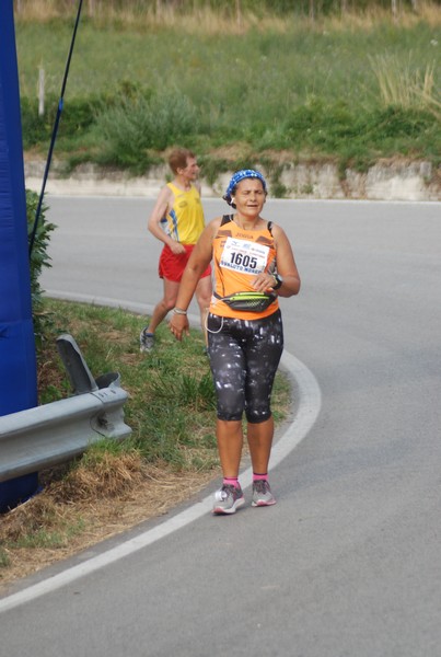 Amatrice Configno  [TOP] [CE] (20/08/2017) 00110
