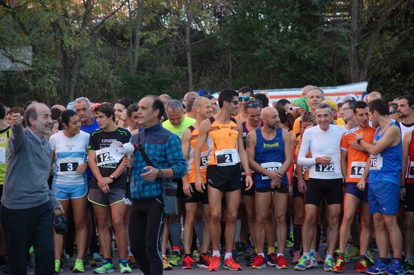 Maratonina di S.Alberto Magno [TOP] (11/11/2017) 00002