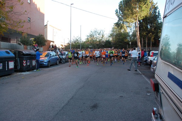 Maratonina di S.Alberto Magno [TOP] (11/11/2017) 00013