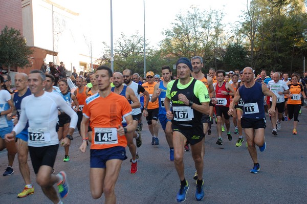 Maratonina di S.Alberto Magno [TOP] (11/11/2017) 00015