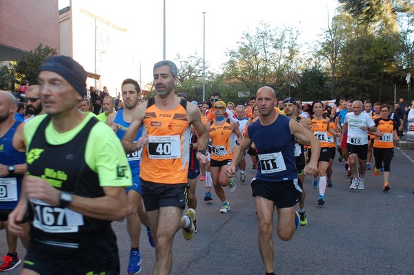 Maratonina di S.Alberto Magno [TOP] (11/11/2017) 00016