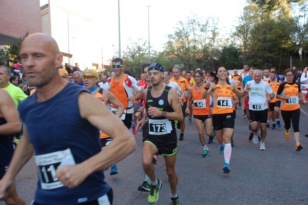 Maratonina di S.Alberto Magno [TOP] (11/11/2017) 00017