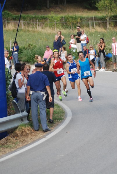 Amatrice Configno  [TOP] [CE] (20/08/2017) 00008