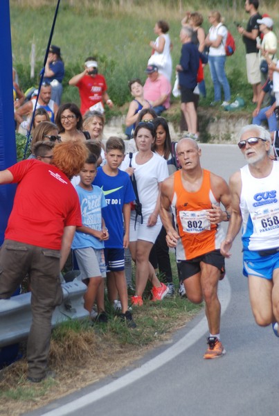 Amatrice Configno  [TOP] [CE] (20/08/2017) 00068