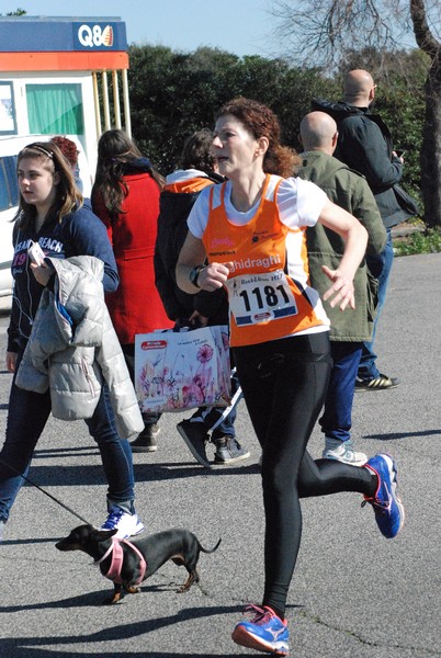 Rock&Run (19/02/2017) 00083