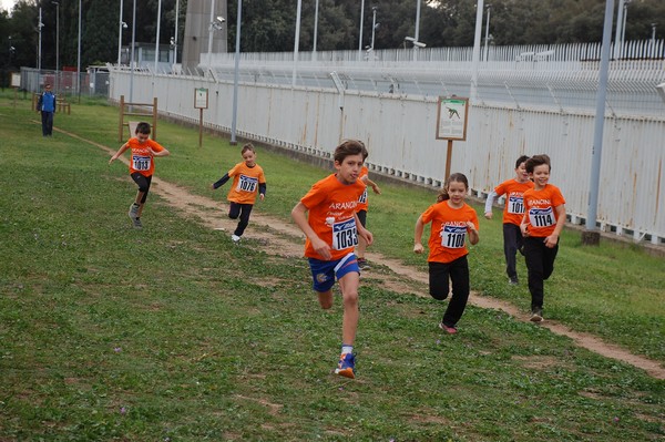 Trofeo Arancini Podistica Solidarietà  (29/10/2017) 00035