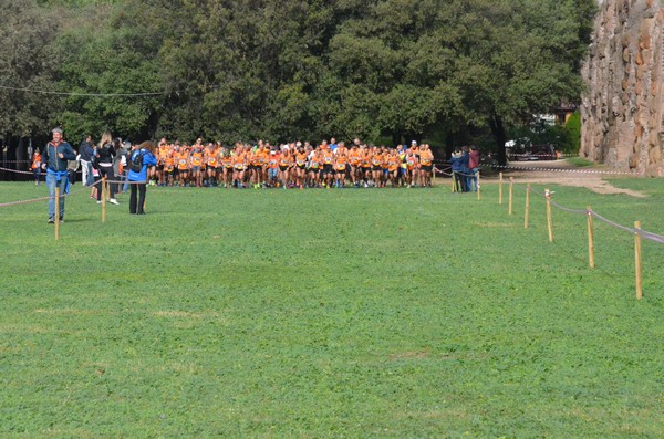 Trofeo Podistica Solidarietà [TOP] (29/10/2017) 00003