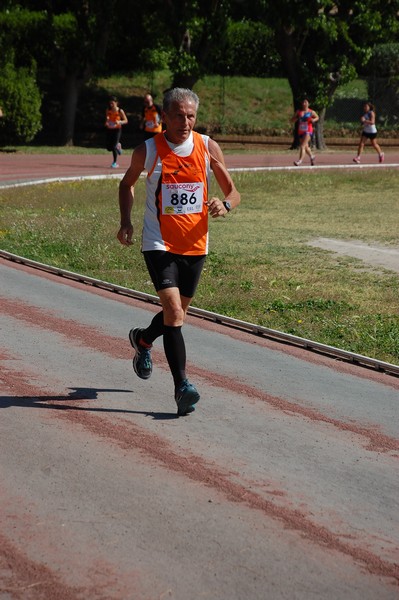 Roma 3 Ville Run [TOP] (25/04/2017) 00223