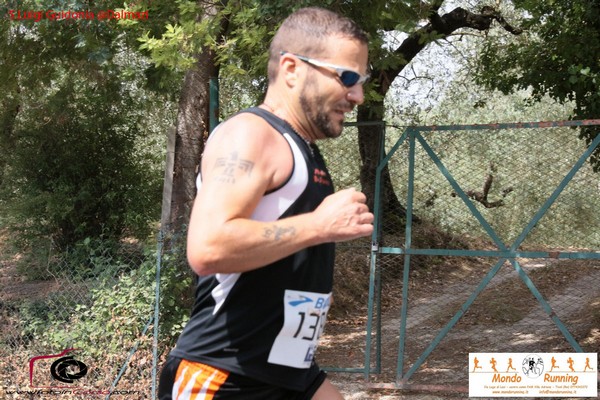 Maratonina 