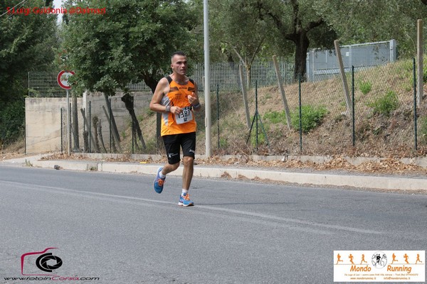 Maratonina 