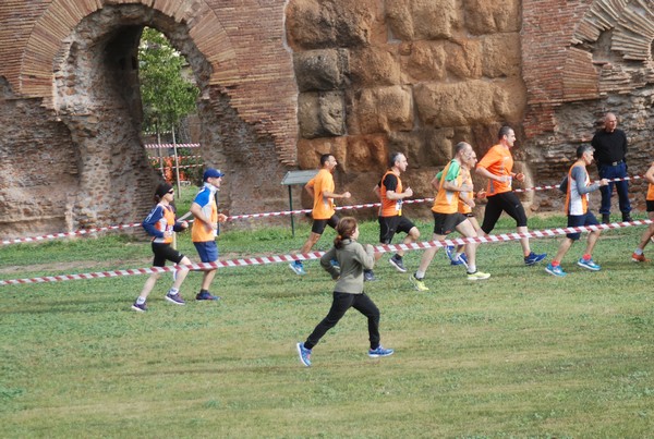 Trofeo Podistica Solidarietà [TOP] (29/10/2017) 00012
