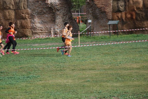 Trofeo Podistica Solidarietà [TOP] (29/10/2017) 00019