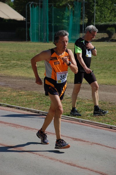 Roma 3 Ville Run [TOP] (25/04/2017) 00120
