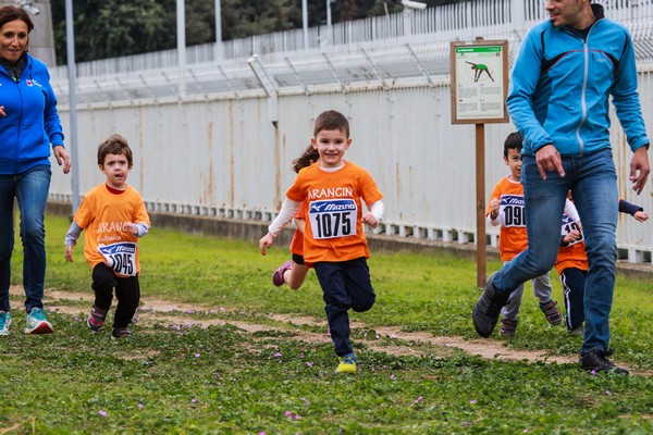 Trofeo Arancini Podistica Solidarietà  (29/10/2017) 0064