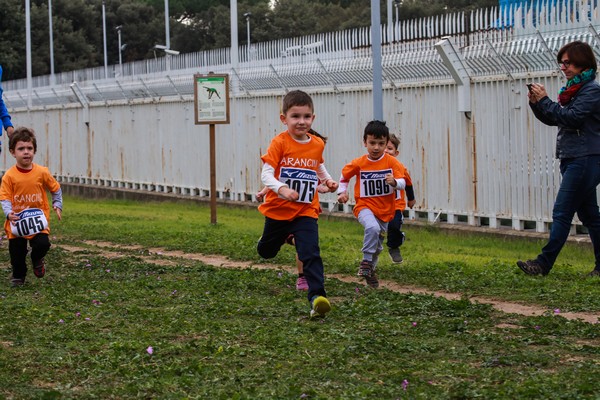 Trofeo Arancini Podistica Solidarietà  (29/10/2017) 0065