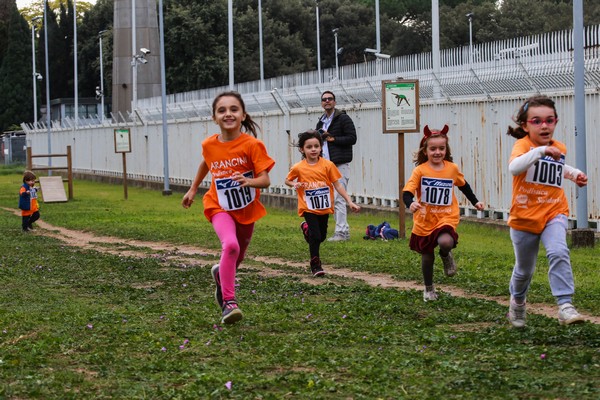 Trofeo Arancini Podistica Solidarietà  (29/10/2017) 0084