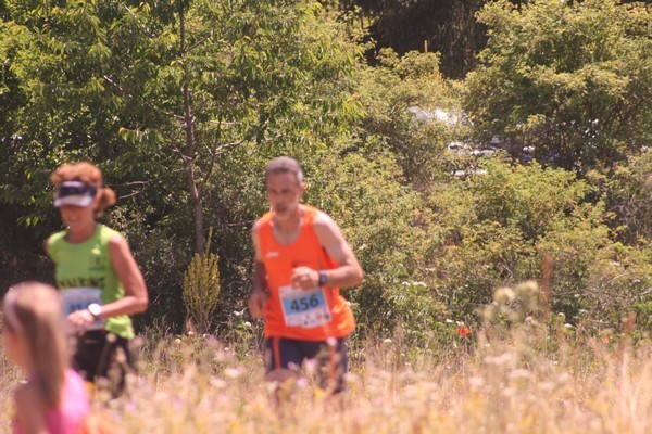 Fast Trail dei Monti Simbruini (09/07/2017) 00010