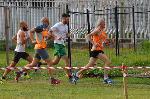 Trofeo Podistica Solidarietà [TOP] (29/10/2017) 00015