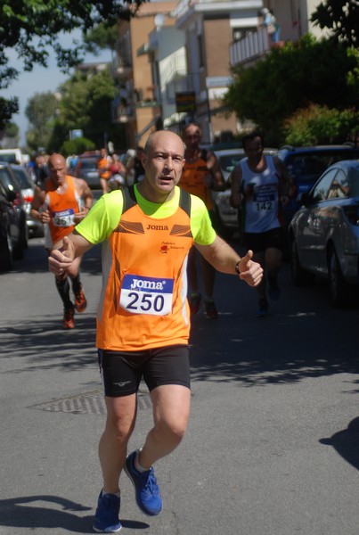 Per Antiqua Itinera (30/04/2017) 00086