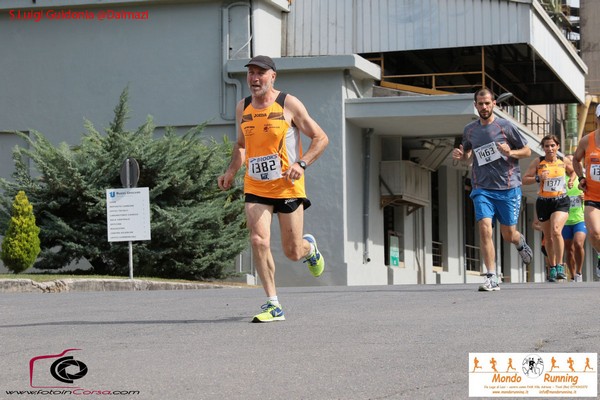 Maratonina 