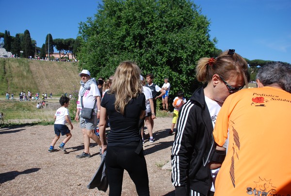 Race For The Cure (TOP) (21/05/2017) 00004