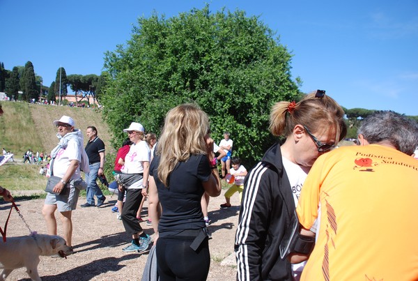 Race For The Cure (TOP) (21/05/2017) 00006