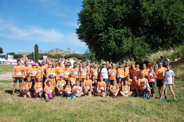 Race For The Cure (TOP) (21/05/2017) 00060