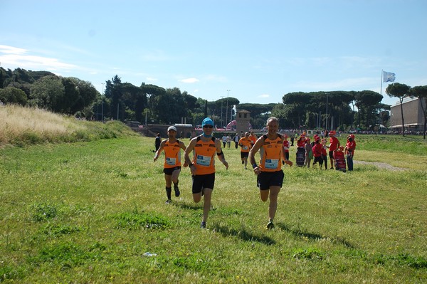 Race For The Cure (TOP) (21/05/2017) 00066