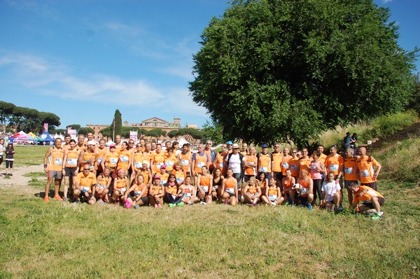 Race For The Cure (TOP) (21/05/2017) 00075