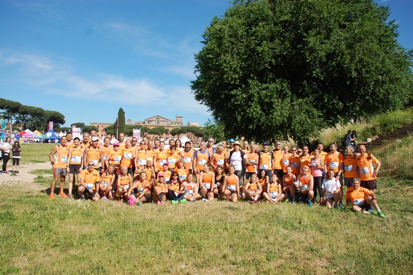 Race For The Cure (TOP) (21/05/2017) 00076