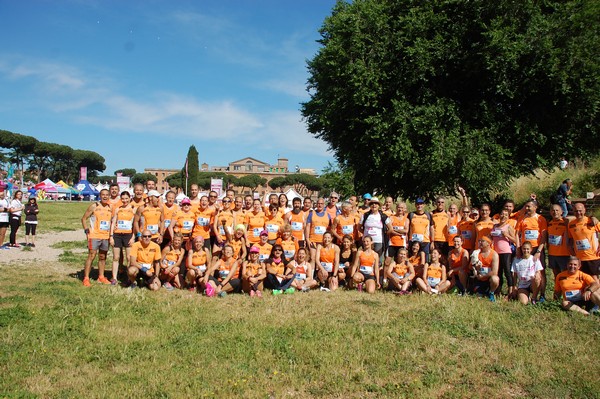 Race For The Cure (TOP) (21/05/2017) 00077