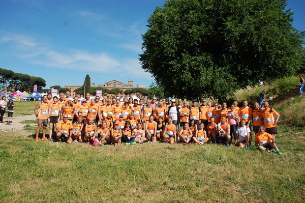 Race For The Cure (TOP) (21/05/2017) 00078