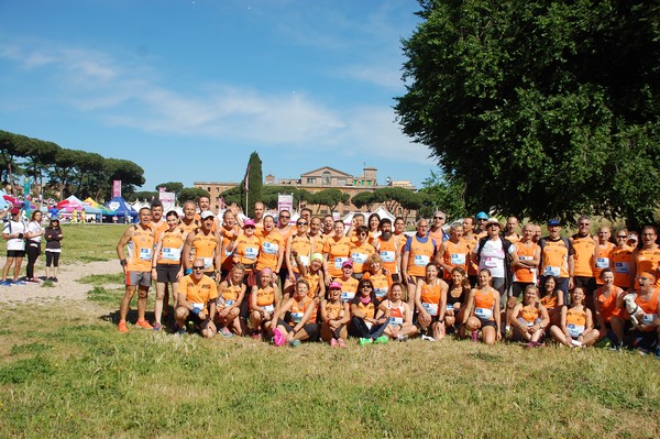 Race For The Cure (TOP) (21/05/2017) 00079