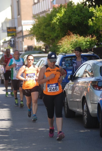 Per Antiqua Itinera (30/04/2017) 00085