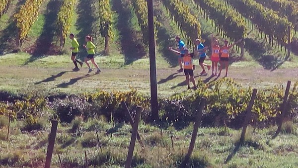Ecomaratona del Chianti- Trail 21k (15/10/2017) 016