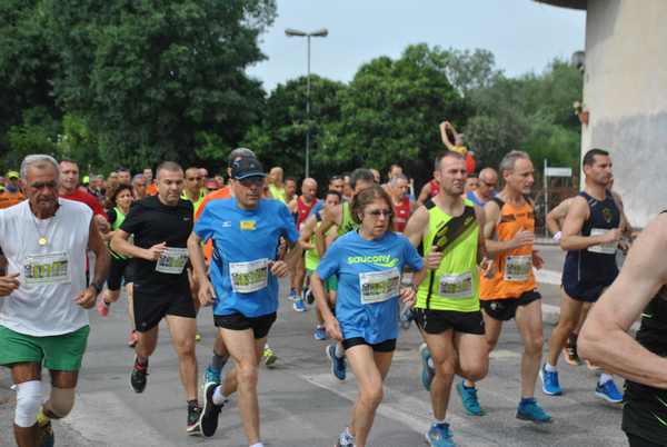 Maratonina di Villa Adriana (C.C.) (27/05/2018) 00009
