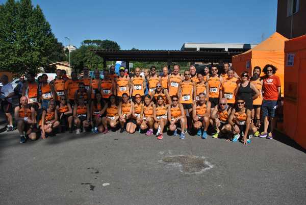 Maratonina 