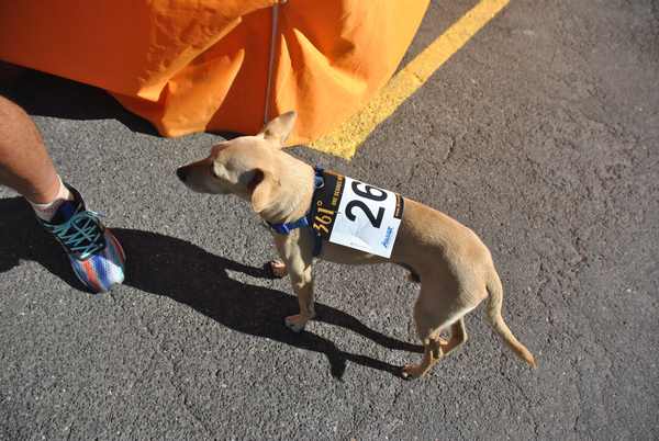 Maratonina 